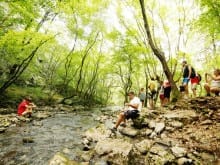 Family active holidays in Croatia